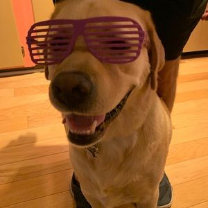 Meet your Posher, Danielle